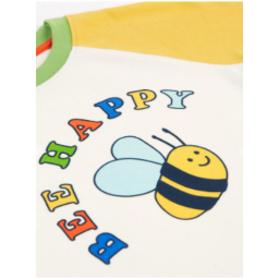 Picture of Frugi Boys Organic Cotton Tamar Raglan T-shirt