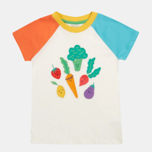 Picture of Frugi Organic Cotton Rafe Raglan T-shirt