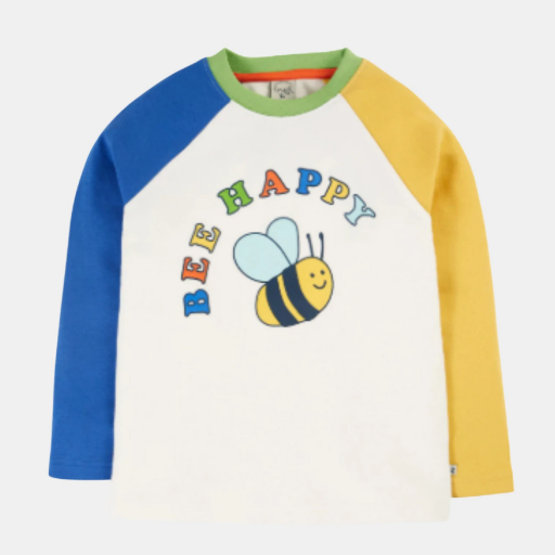 Picture of Frugi Boys Organic Cotton Tamar Raglan T-shirt