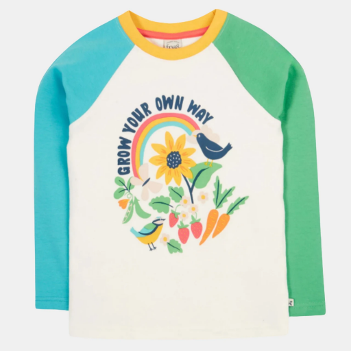 Picture of Frugi Boys Organic Cotton Tamar Raglan T-shirt
