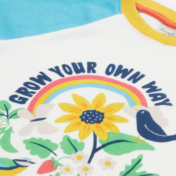 Picture of Frugi Boys Organic Cotton Tamar Raglan T-shirt