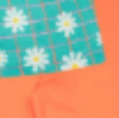 Floral Check/Cantaloupe
