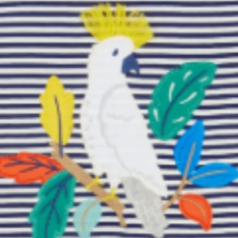 Navy Blue Stripe/ Cockatoo
