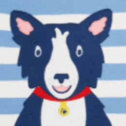 Cornflower Stripe/Collie Dog