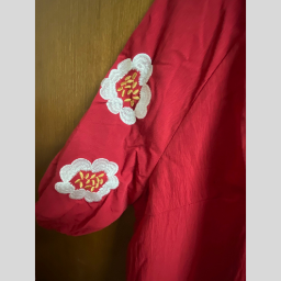 Picture of SHEIN EMERY ROSE Embroidered V-Neck Mid-Sleeved Top